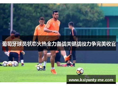 葡萄牙球员状态火热全力备战关键战役力争完美收官