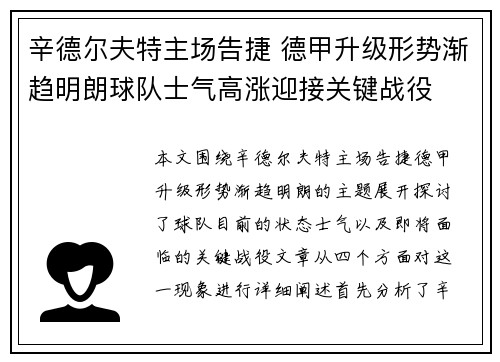 辛德尔夫特主场告捷 德甲升级形势渐趋明朗球队士气高涨迎接关键战役