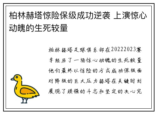 柏林赫塔惊险保级成功逆袭 上演惊心动魄的生死较量